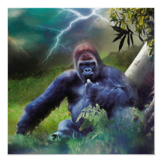 SILVERBACK GORILLA OERWOUD ENLIGHTENTIE FOTO AFDRUK (Voorkant)