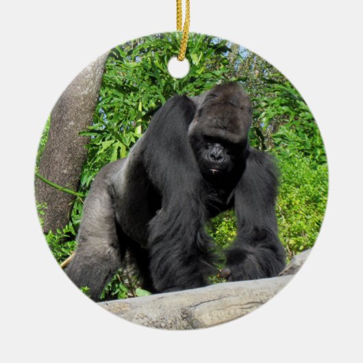 Silverback Gorilla Ornament (Voorkant)