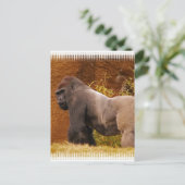 Silverback Gorilla Photo Briefkaart (Staand voorkant)