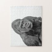 Silverback Gorilla Portrait, Jigsaw Puzzle (Vertical)