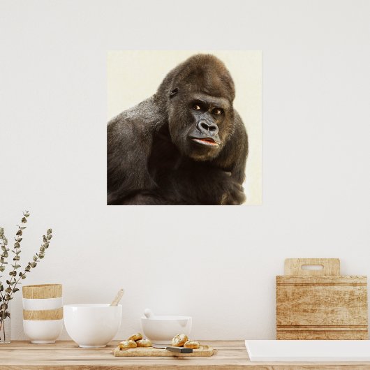 Silverback gorilla-portret poster (Keuken)