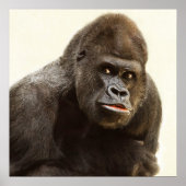 Silverback gorilla-portret poster (Voorkant)