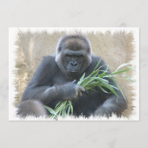 Silverback Gorilla Uitnodiging