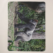 SILVERBACK GORILLOA SHERPA DEKEN (Voorkant)