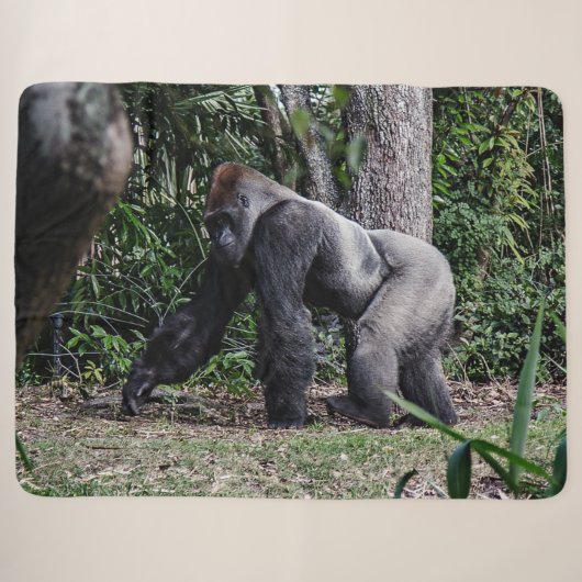 SILVERBACK GORILLOA SHERPA DEKEN (Voorkant (horizontaal))