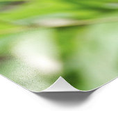 Silverback Lowland Gorilla, Gorilla Captive Foto Afdruk (Hoek)