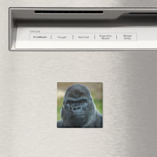 Silverback Magneet (Insitu (Vaatwasser))