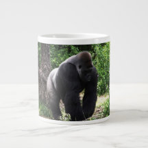 Silverback Male Gorilla die naar beneden loopt.jpg