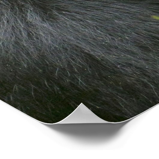 Silverback Mountain Gorilla Poster (Hoek)