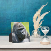 Silverback Portrait Fotoplaat (Insitu)
