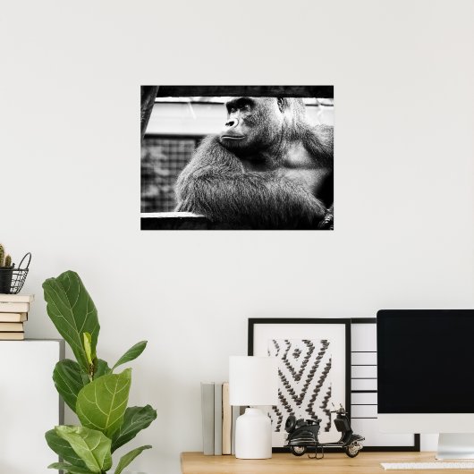 Silverback-Poster Poster (Thuiskantoor)