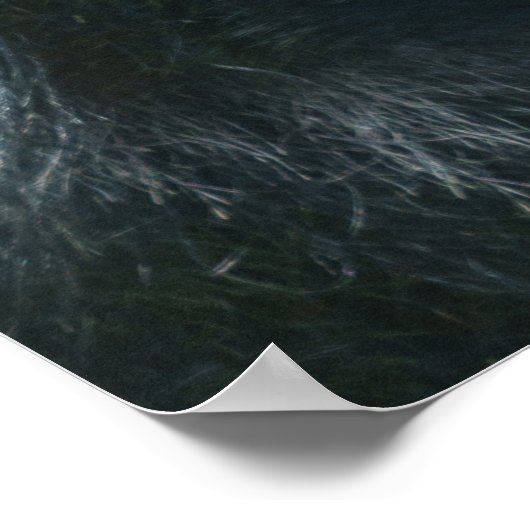 Silverback Splendor Poster (Hoek)