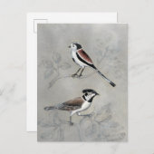 Silvered Aviary | A Paar Briefkaart (Voorkant / Achterkant)