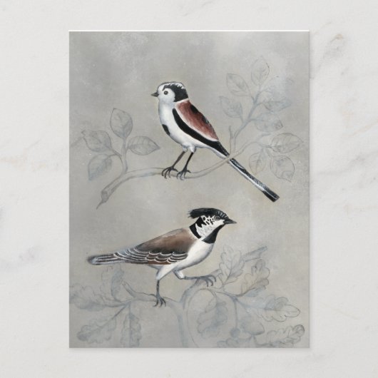 Silvered Aviary | A Paar Briefkaart (Voorkant)