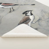 Silvered Aviary | A Paar Sherpa Deken (3/4)