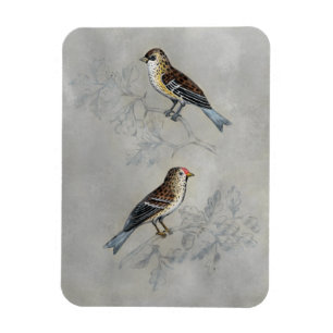 Silvered Aviary   Twee vogels Magneet
