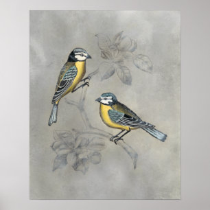 Silvered Aviary Vogelpaar Poster