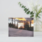 Silverstar Sunset Briefkaart (Staand voorkant)