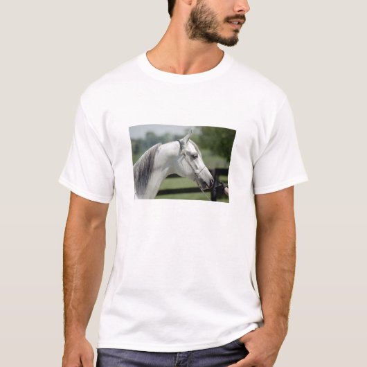 Silverstone Shamal T-shirt (Voorkant)