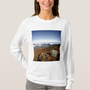 Silversword op de rand van de Haleakala-krater van T-shirt