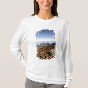 Silversword op de rand van Haleakala-krater van di T-shirt