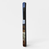 Silversword op Haleakala Crater Rim van dichtbij Case-Mate iPhone Case (Achterkant/links)