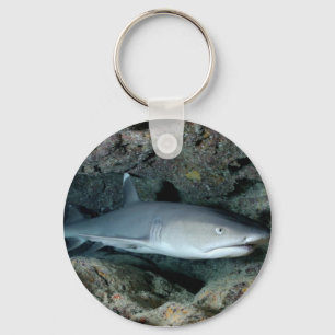 Silvertip Shark Sleutelhanger