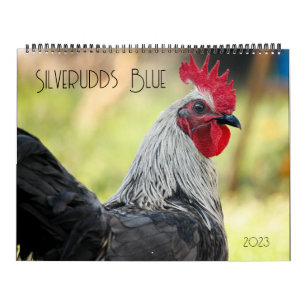 Silverudds Blue Chickens Kalender