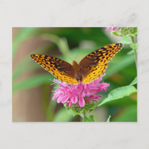 Silvery Checkerspot Butterfly Briefkaart