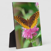 Silvery Checkerspot Butterfly Fotoplaat (Zijkant)