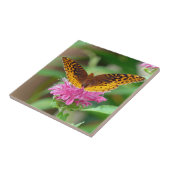 Silvery Checkerspot Butterfly Tegeltje (Zijkant)