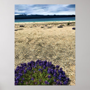 Simax Bay bij het meer van Crescent, Oregon Poster