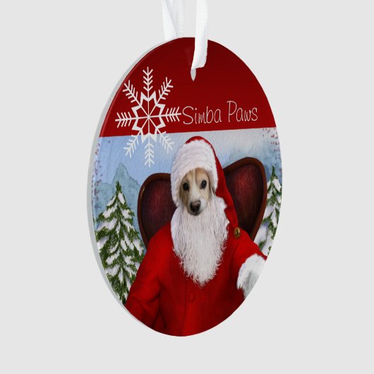 Simba Père Noël (devant)