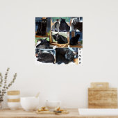 SIMBA POSTER (Keuken)