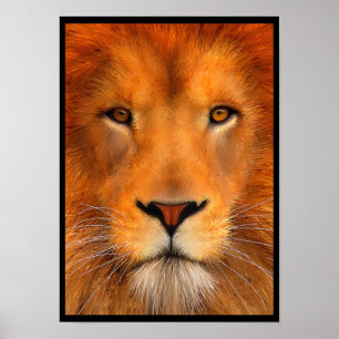Simha Lion Poster