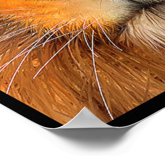 Simha Lion Poster (Hoek)