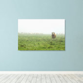 Simmental Bull in mistig groen weiland Canvas Afdruk (Insitu (Houten vloer))