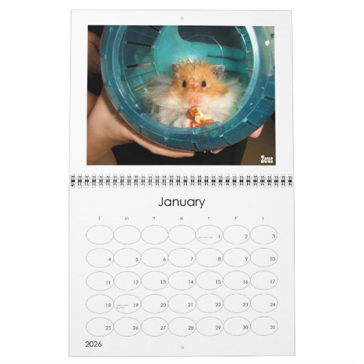 Simon Agenda opslaan Kalender (Jan 2026)