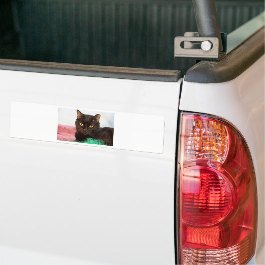 Simon Bumpersticker (Op Truck)