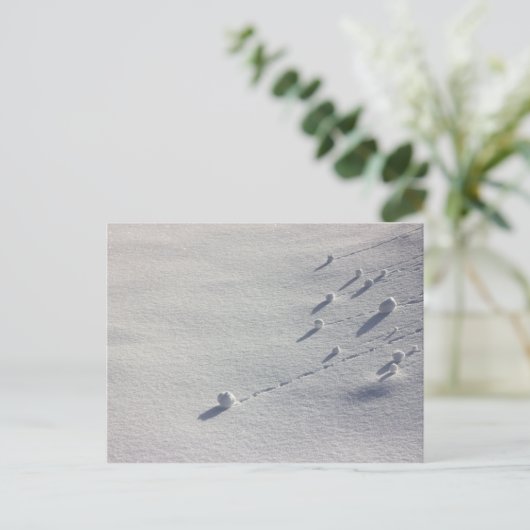 Simon dit carte postale CC0077 (Debout devant)