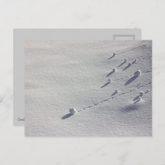 Simon dit carte postale CC0077 (Devant / Derrière)