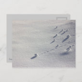 Simon Says CC0077 Briefkaart (Voorkant / Achterkant)