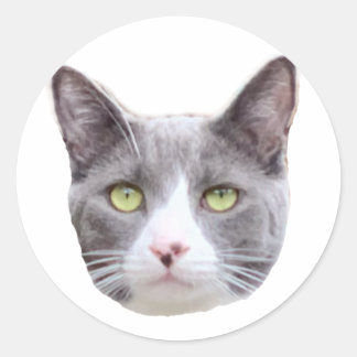 Simon Sticker
