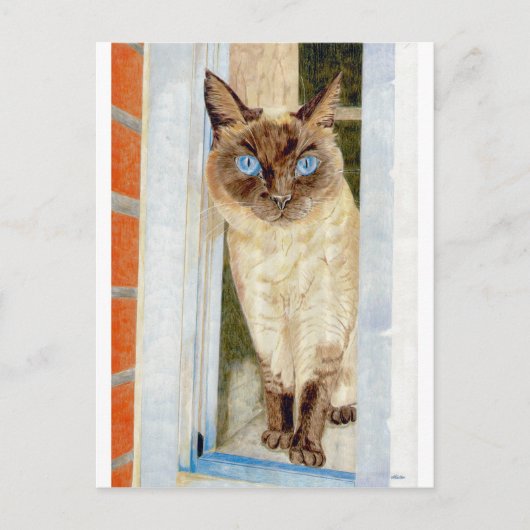 Simone in het raam (Siamese) Briefkaart (Voorkant)