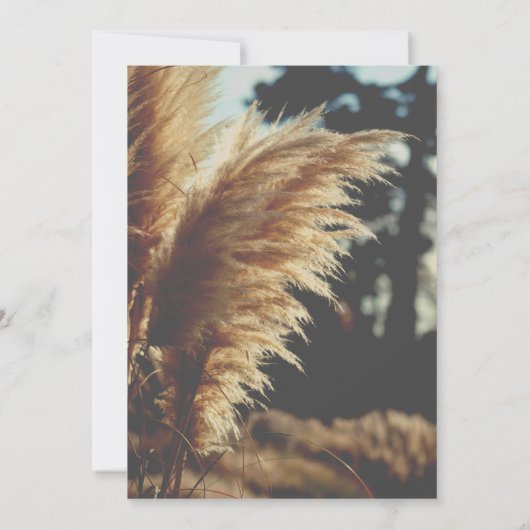 Simpel Elegant Pampagras Onze Trouwdag Save The Date (Achterkant)