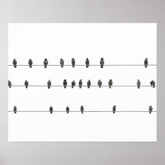 Simple Birds on the Wires Hand-Drawn Illustration Poster (Voorkant)