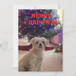 Simple Bold Christmas Card Kaart