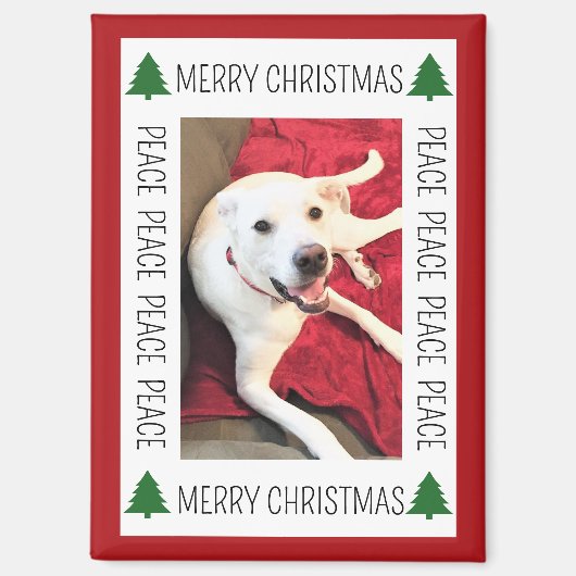 Simple Christmas Photo Frame of Funny Smiling Dog Magneet (Voorkant)
