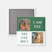 Simple Green White Dog Fed Photo Magneet (Voorkant / Achterkant)