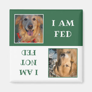 Simple Green White Dog Fed Photo Magneet
